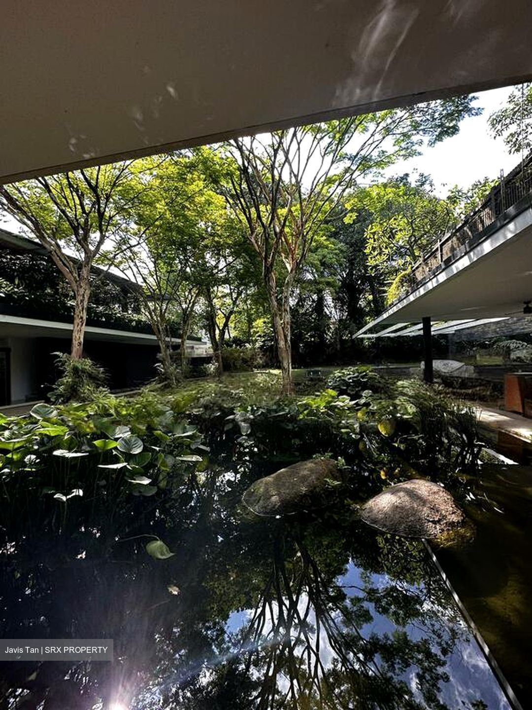 Gilstead Road (D11), Detached #483095171